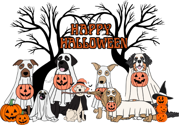 HALLOWEEN DOG SWEATSHIRT