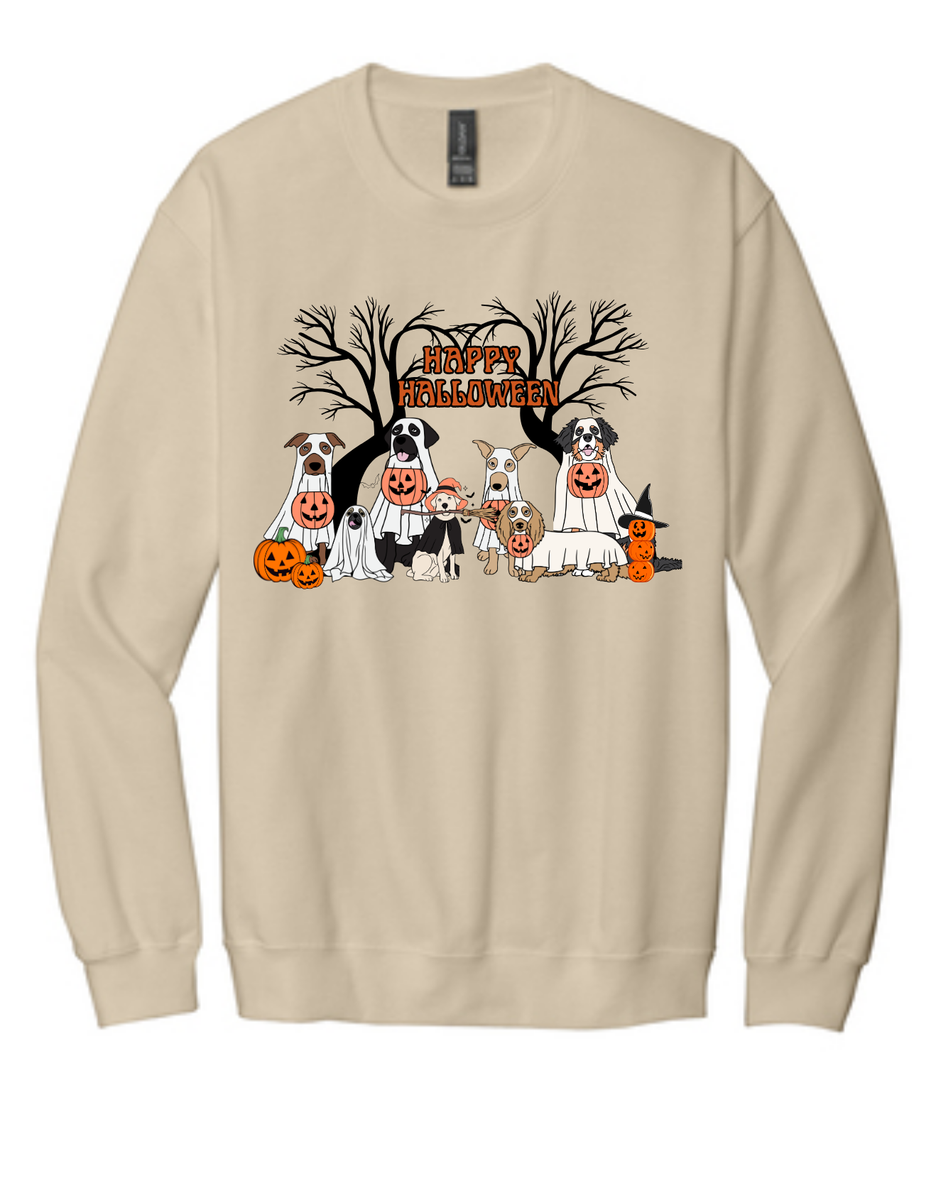 HALLOWEEN DOG SWEATSHIRT