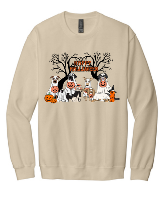 HALLOWEEN DOG SWEATSHIRT
